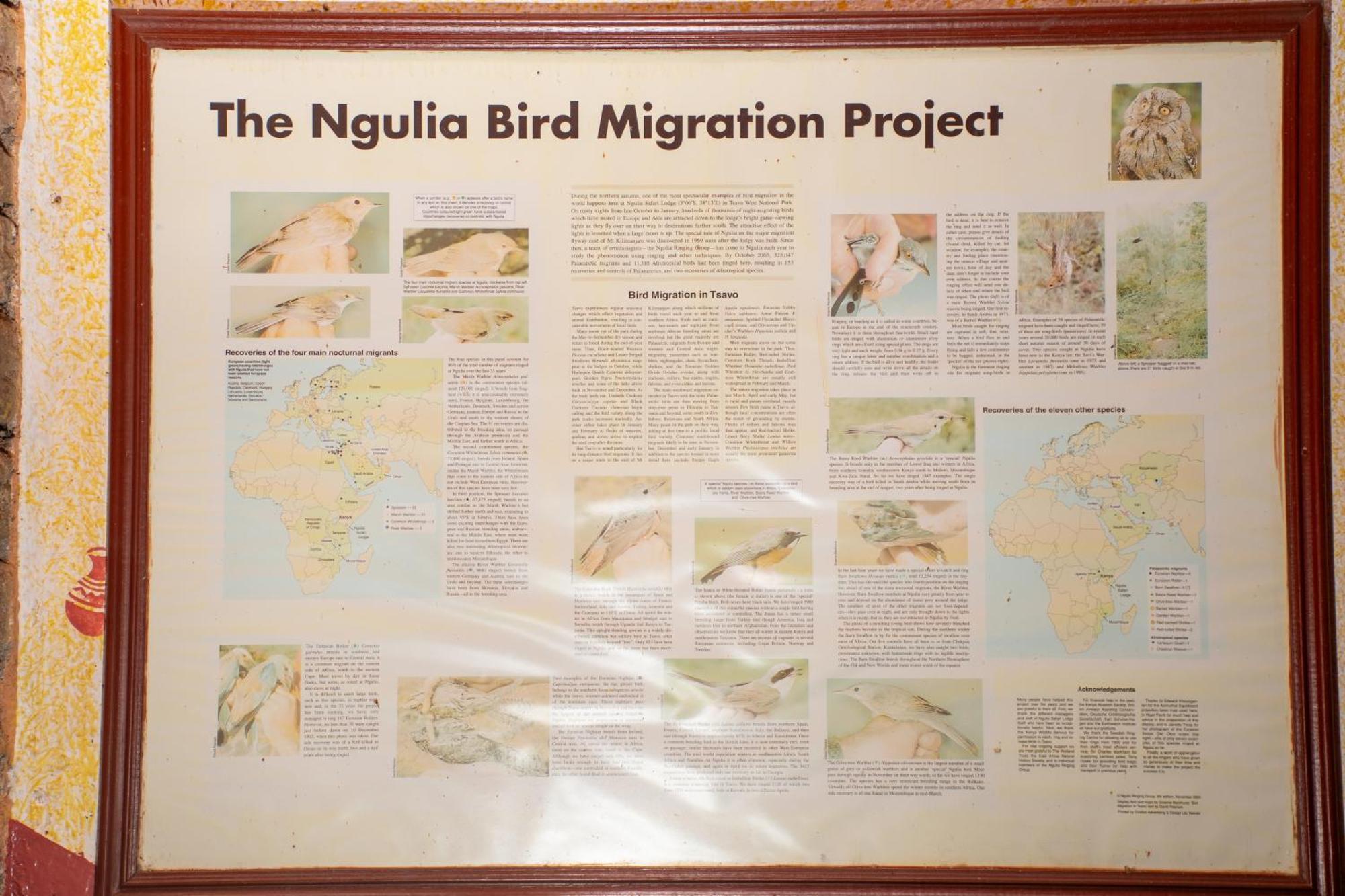 Ngulia Safari Lodge Ithumba エクステリア 写真