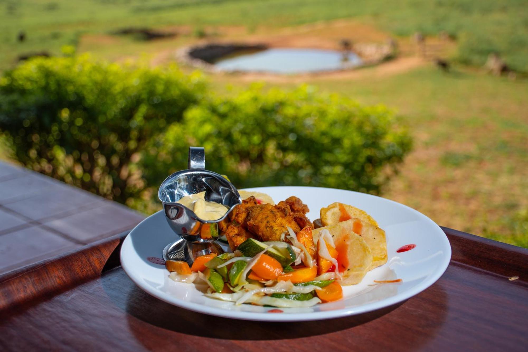 Ngulia Safari Lodge Ithumba エクステリア 写真