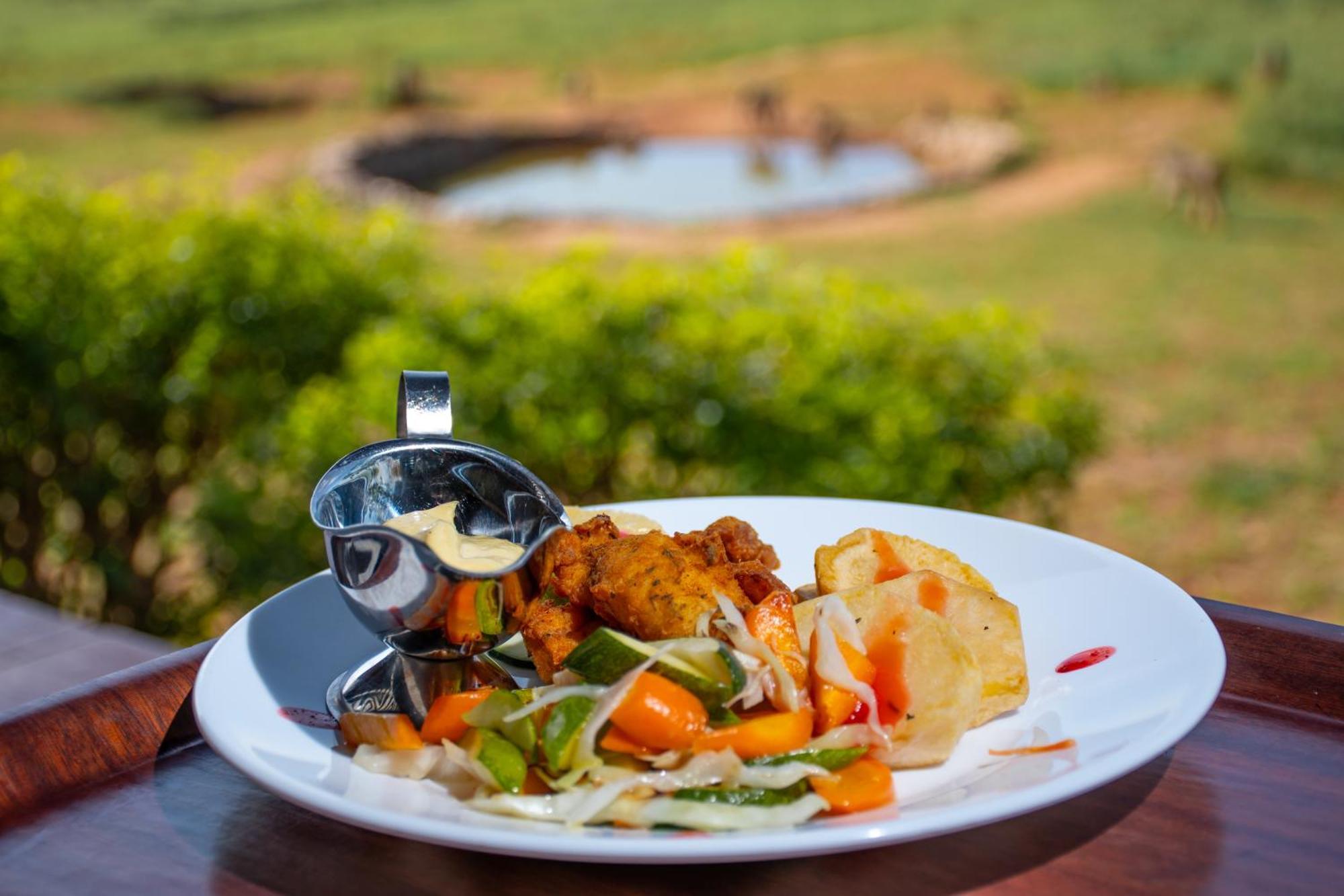Ngulia Safari Lodge Ithumba エクステリア 写真