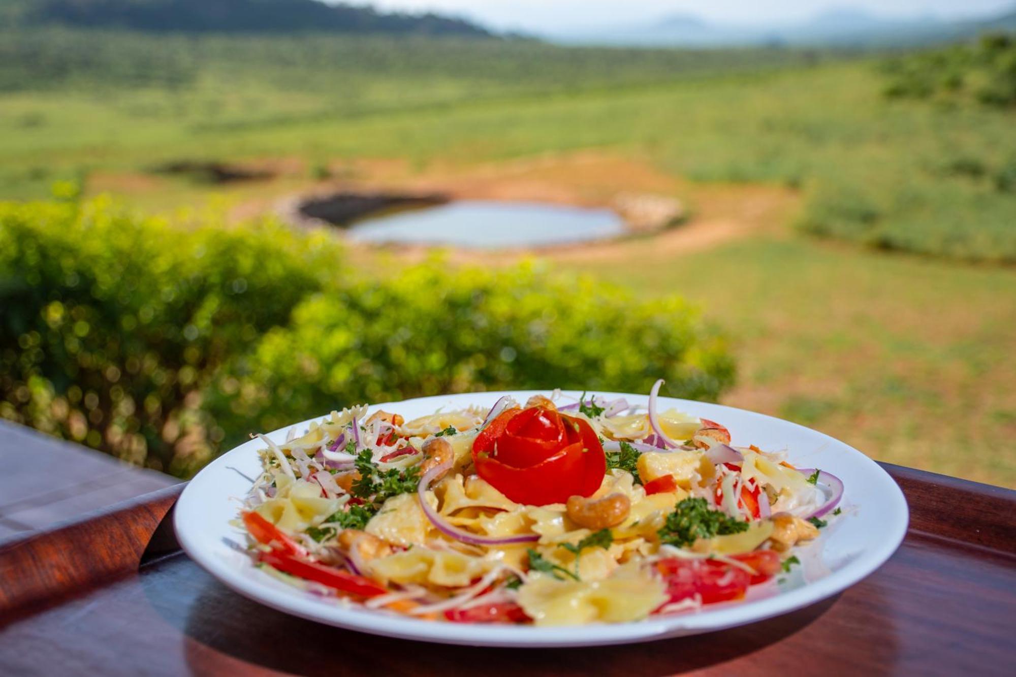 Ngulia Safari Lodge Ithumba エクステリア 写真